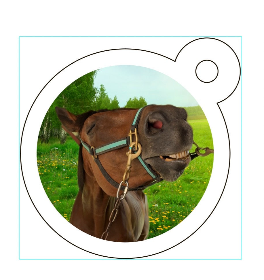 【数量限定】アンブレラマーカー3点セット(ミニサイズ・透明)