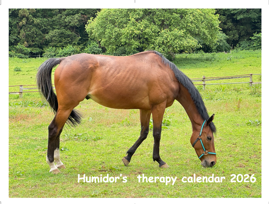 【予約受付】ヒュミドールのセラピーカレンダー2026 （卓上）