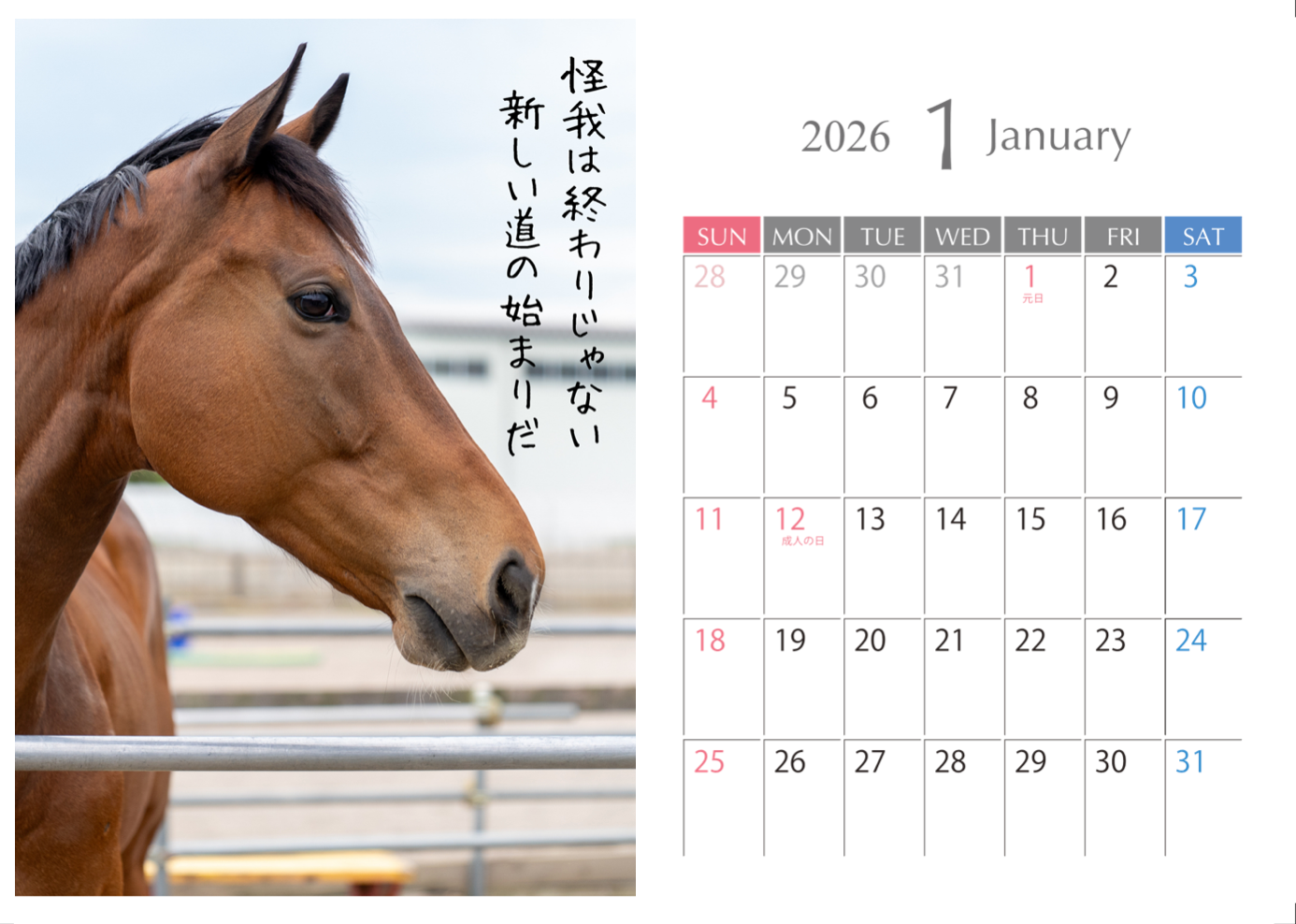 【予約受付】ヒュミドールのセラピーカレンダー2026 （卓上）